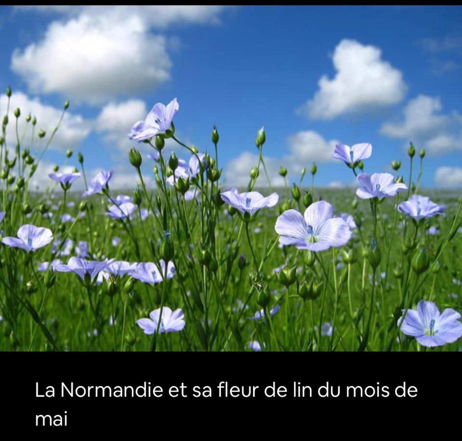 Appartement Veules Roses , La Cressonniere: « Veules & Victor «  エクステリア 写真